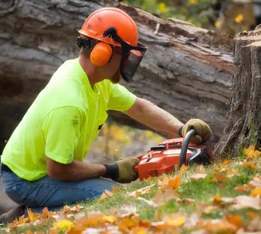 tree services Morganza